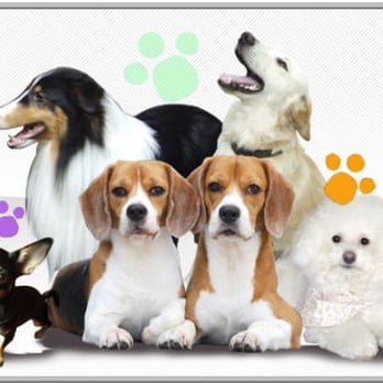 Ace Grooming By Sara - Pet Groomers Near Me - Centennial, Colorado