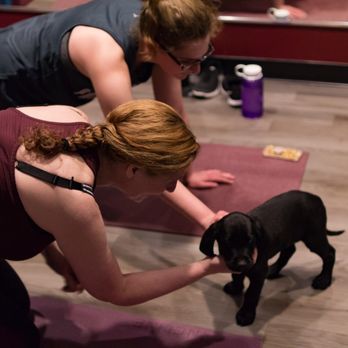 Pulse Inferno - Pilates Near Me - Ashburn, Virginia