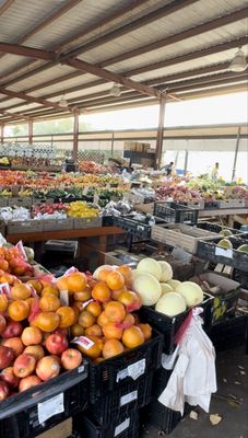 Jacksonville Farmers Market by null