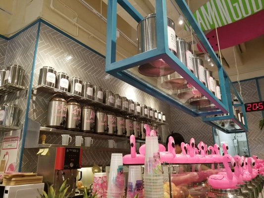 Flamingo Bloom, TST by null