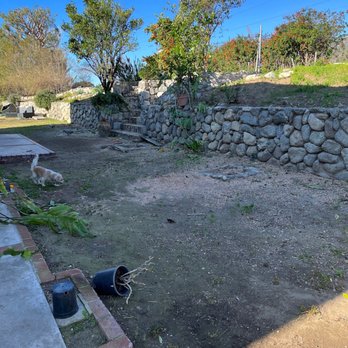 Hernández Tree Services - After - Tree Services Near Me
