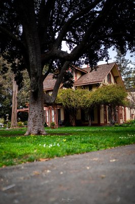 Shinn Historical Park and Arboretum by null