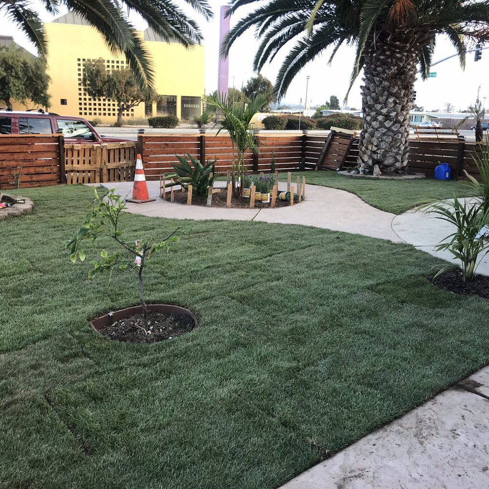 Ecograss - Front of the the house natural grass. The back yard is synthetic. - Artificial Turf Near Me - Chula Vista, California Ecograss - Front of the the house natural grass. The back yard is synthetic. - Artificial Turf Near Me - Chula Vista, California