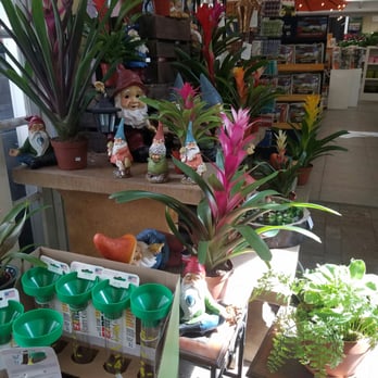 West End Nursery - Garden Gnomes - Nurseries & Gardening Near Me - San Rafael, California West End Nursery - Garden Gnomes - Nurseries & Gardening Near Me - San Rafael, California