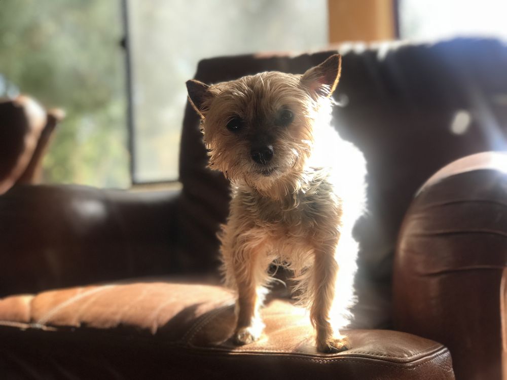 EAST COUNTY LARGE & SMALL ANIMAL PRACTICE Updated September 2024 54 Photos & 87 Reviews