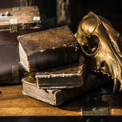 Le Cabinet des Curieux
