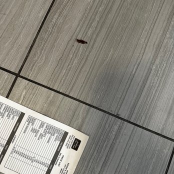Hampton Inn & Suites Modesto-Salida - Bug on the floor - Hotels Near Me - Salida, California