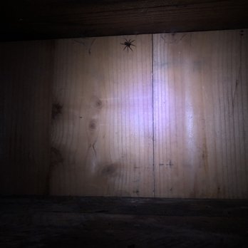 Samuel P Taylor State Park - Food locker... - Parks Near Me - Lagunitas, California