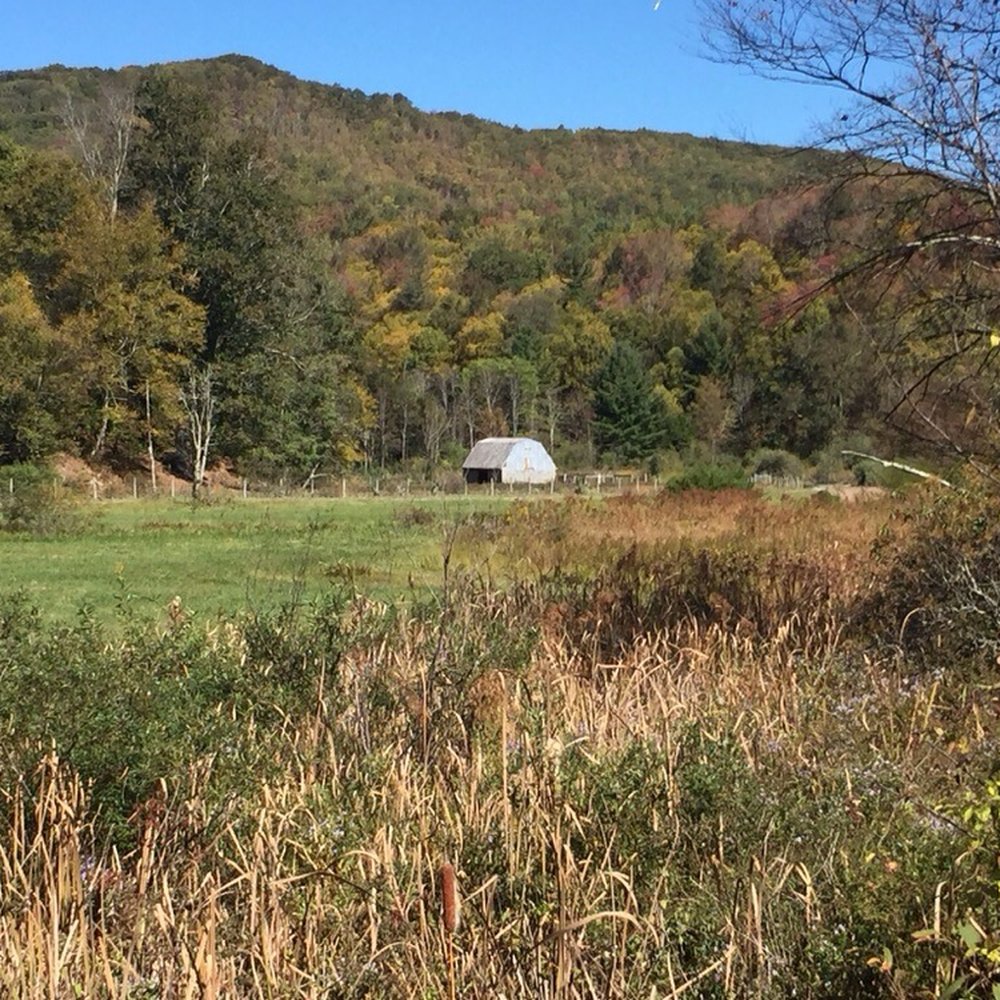 Virginia Creeper Trail - Scenic background - Hiking Near Me - Abingdon, Virginia Virginia Creeper Trail - Scenic background - Hiking Near Me - Abingdon, Virginia