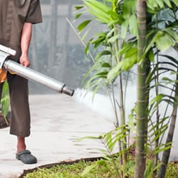 Novelty Pest Management