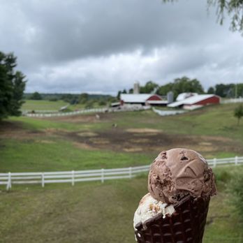Moomers - Ice Cream & Frozen Yogurt Near Me - Traverse City, Michigan
