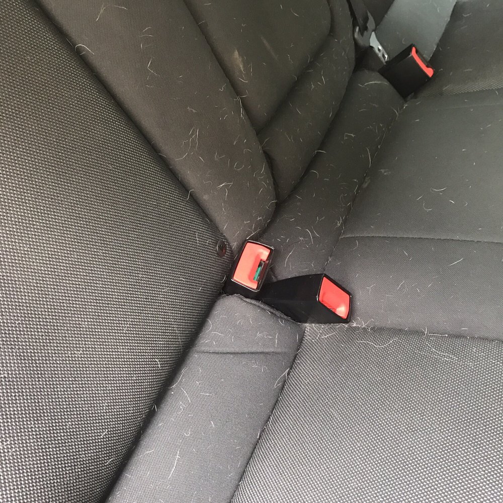 Robin Auto Wash - After the "red carpet" service that is supposed to include vacuuming. - Auto Detailing Near Me - Utica, Michigan Robin Auto Wash - After the "red carpet" service that is supposed to include vacuuming. - Auto Detailing Near Me - Utica, Michigan
