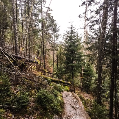 Parc national de la Jacques-Cartier by null