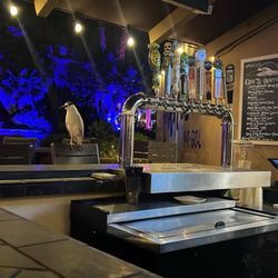 Barefoot Bar & Grill