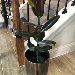 Snooper's Nursery
