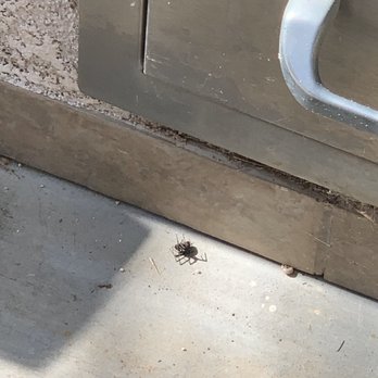 Source Pest Control - Already seeing results - Pest Control Near Me - Temecula, California