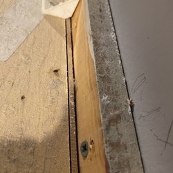 Hills of Texas Lodging - Droppings on top of kitchen cabinets