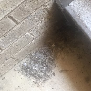 Bent Tree Apartments - Common areas they don't care about cleaning - Apartments Near Me - Roanoke, Virginia Bent Tree Apartments - Common areas they don't care about cleaning - Apartments Near Me - Roanoke, Virginia