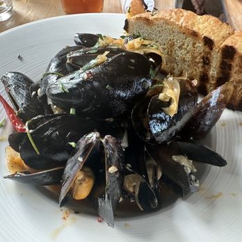 The Tack Room - Mussels - Bars Near Me - Lincoln, Massachusetts The Tack Room - Mussels - Bars Near Me - Lincoln, Massachusetts