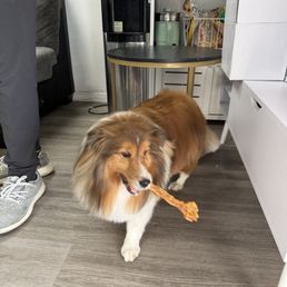 Willow with a treat! Willow with a treat!