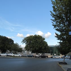 Walmart - En realidad el Walmart está muy escondidito entre árboles. Vista de la esquina entre Paseo de Montejo y Av. Pérez Ponce.