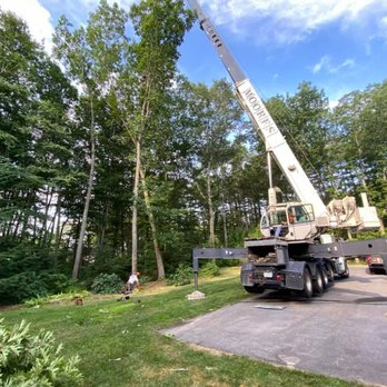 Phil’s Tree Service Seacoast - Tree Services Near Me - Lee, New Hampshire