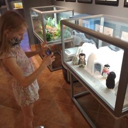 Muzeum Dobranocek - Muzeum dobranocek w Rzeszowie.