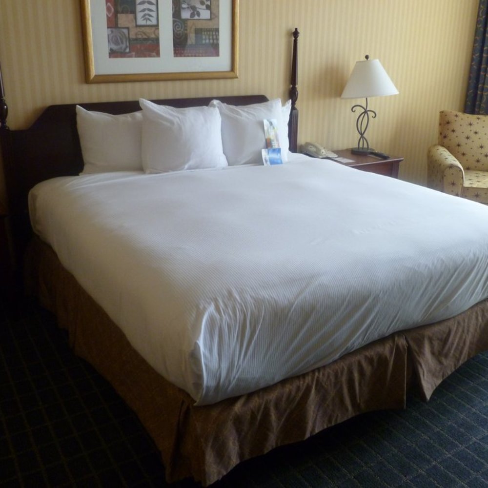 Hilton Pasadena - Bed -- Very comfortable. - Hotels Near Me - Pasadena, California