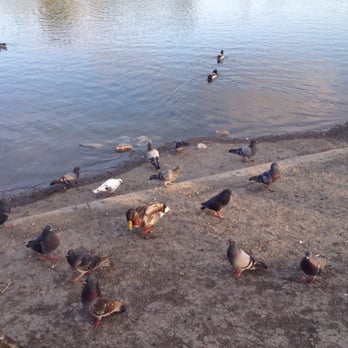 Hidden Lake Park - Local Flavor Near Me - Milpitas, California Hidden Lake Park - Local Flavor Near Me - Milpitas, California