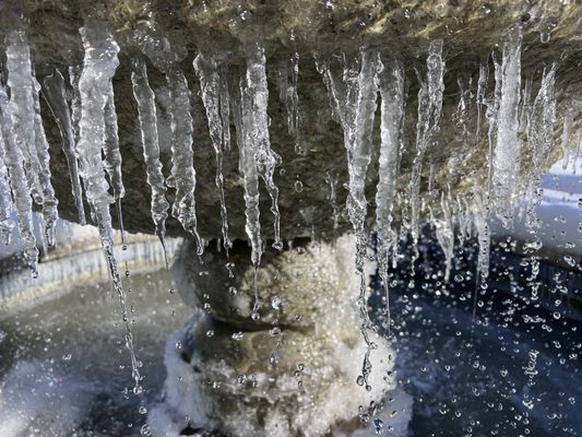 Julia - A Spirited Restaurant & Bar by null