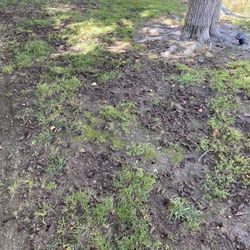 Spanish Trail - Mud