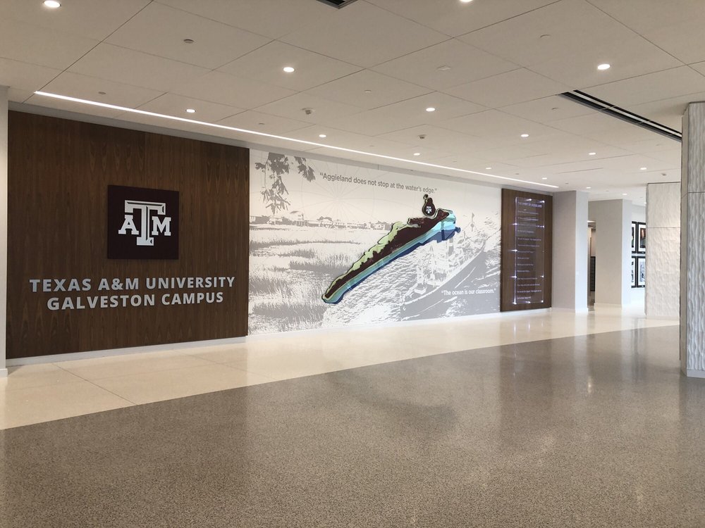 TEXAS A & M UNIVERSITY GALVESTON 26 Photos UPDATED Colleges & Universities 200 Seawolf