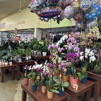 Kroger - Grocery Near Me - Tucker, Georgia Kroger - Grocery Near Me - Tucker, Georgia