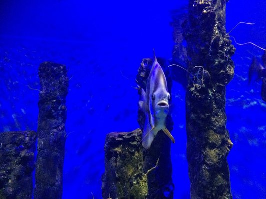 Underwater World Langkawi by null