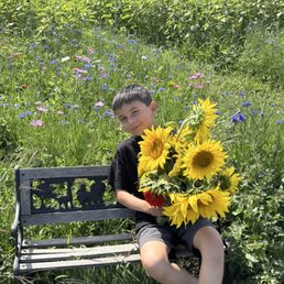 Picked flowers