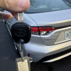 Dollar Car Rental