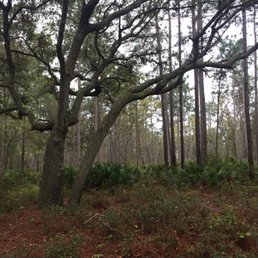 Great nature trails with nice pathways and fabulous vegetation. Five dollar parking fee Great nature trails with nice pathways and fabulous vegetation. Five dollar parking fee