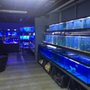 Photo of Reef Scape Aquatics