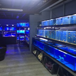 Reef Scape Aquatics - An amazing fresh water fish side of the store with a huge variety of a rare fish