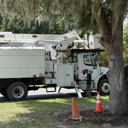 Branching Out Tree Service