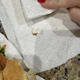Plastic pieces in my sandwich!!