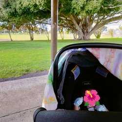 Eddie Tam Memorial Park - 3/5/23