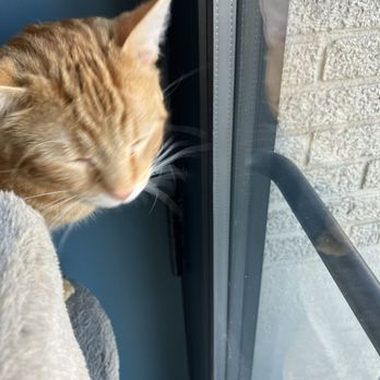 Catzen Coffee - Coffee & Tea Near Me - Saint Paul, Minnesota Catzen Coffee - Coffee & Tea Near Me - Saint Paul, Minnesota