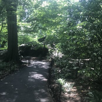 Central Park Sightseeing - Tours Near Me - New York, New York Central Park Sightseeing - Tours Near Me - New York, New York