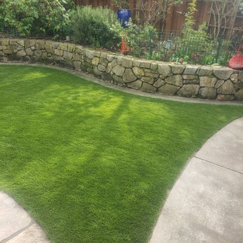 Purchase Green Artificial Grass - After Same area, our beautiful grass!! - Artificial Turf Near Me - Petaluma, California Purchase Green Artificial Grass - After Same area, our beautiful grass!! - Artificial Turf Near Me - Petaluma, California