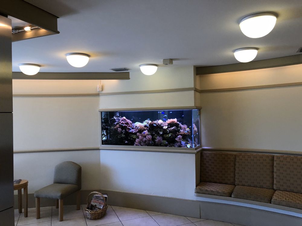 ENDODONTIC SPECIALISTS 11 Photos 6085 Bird Rd, Miami, Florida