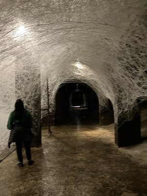 Cisterns in Søndermarken by null