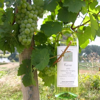 Weingut & Weinstube Regie - German Near Me - Dettelbach, BY