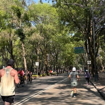 Bosque de Chapultepec - Parks Near Me - Ciudad de México, DIF Bosque de Chapultepec - Parks Near Me - Ciudad de México, DIF
