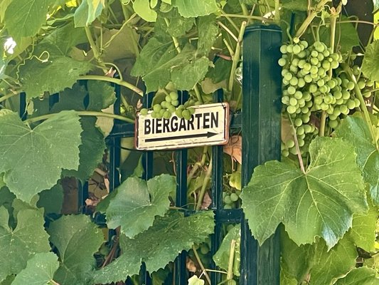 Dunsmuir Brewery Works by null